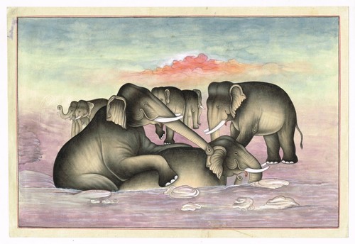 Gruppo elefante bathing - di,