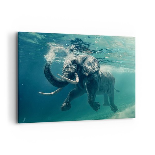 Quadro tela 100x70cm - su,