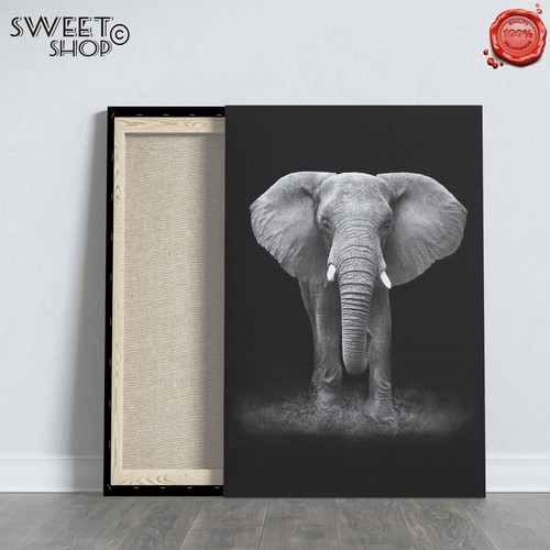 Elefante savana africa - africa, stampa