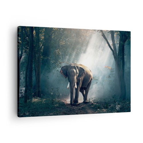 Quadro tela 70x50cm - tela,