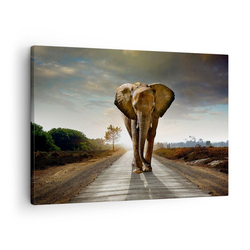 Quadro tela 70x50cm - quadro, su