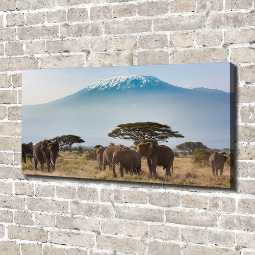 Tulup canvas print wall art - canvas,