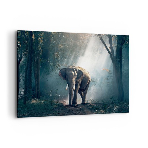 Quadro tela 120x80cm - quadro,