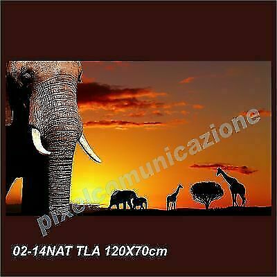 Quadro moderno tela 120x70 - moderno,