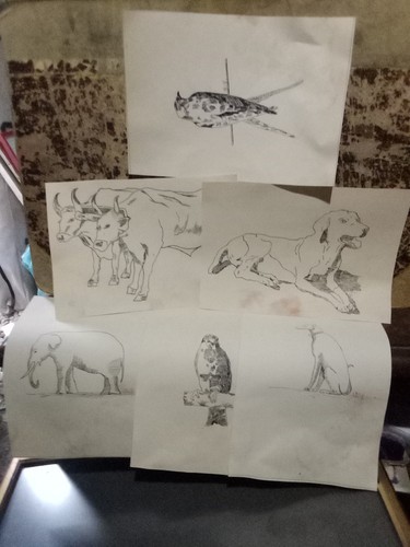 Disegni antichi animali cani - 6,