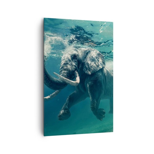 Quadro tela 80x120cm - su,