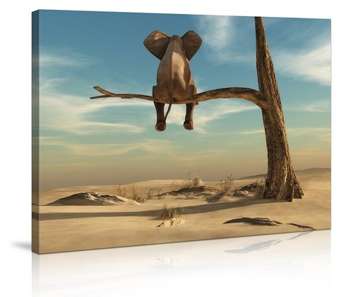 Quadro tela 80x60 elefante - quadro,