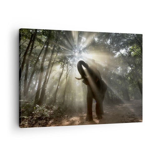 Quadro tela 70x50cm - su,