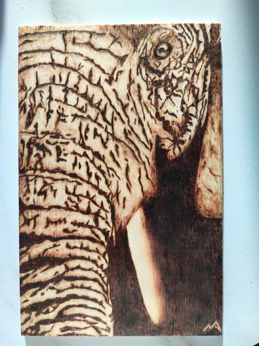 Quadro elefante pirografia - pirografia, su