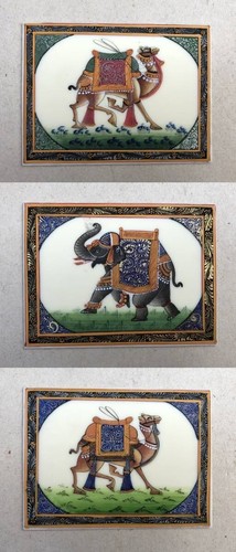 Elefante cammelli 3 - e,