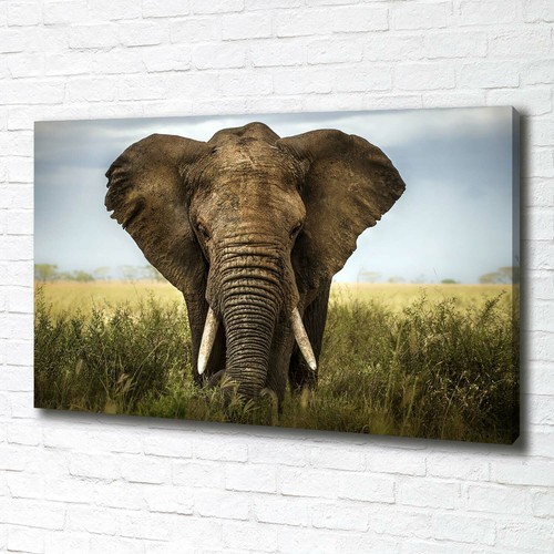 Stampa tela tulup wall art - su,