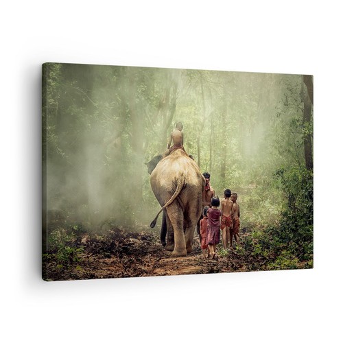 Quadro tela 70x50cm - quadro,