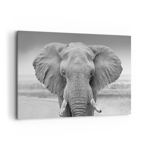 Quadro tela 120x80cm - su,