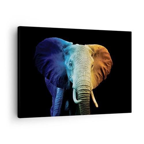 Quadro tela 70x50cm - tela,