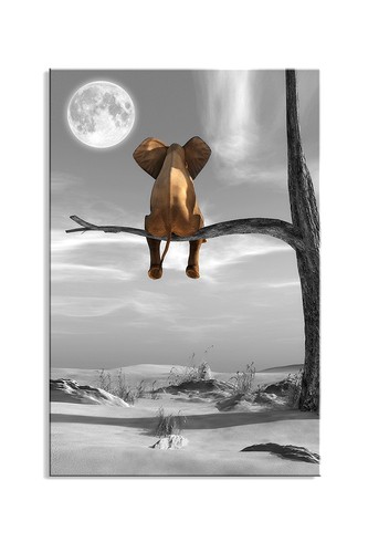 Quadro tela 80x60 elefante - quadro,