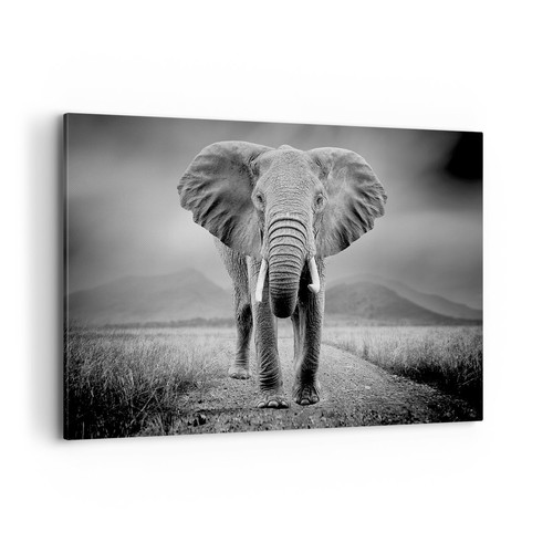 Quadro tela 120x80cm - quadro,