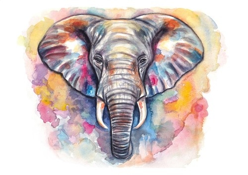Acquerello elefante dipinto - , a