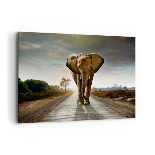Quadro tela 100x70cm - tela,