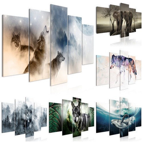 Animali elefante quadro - animali,